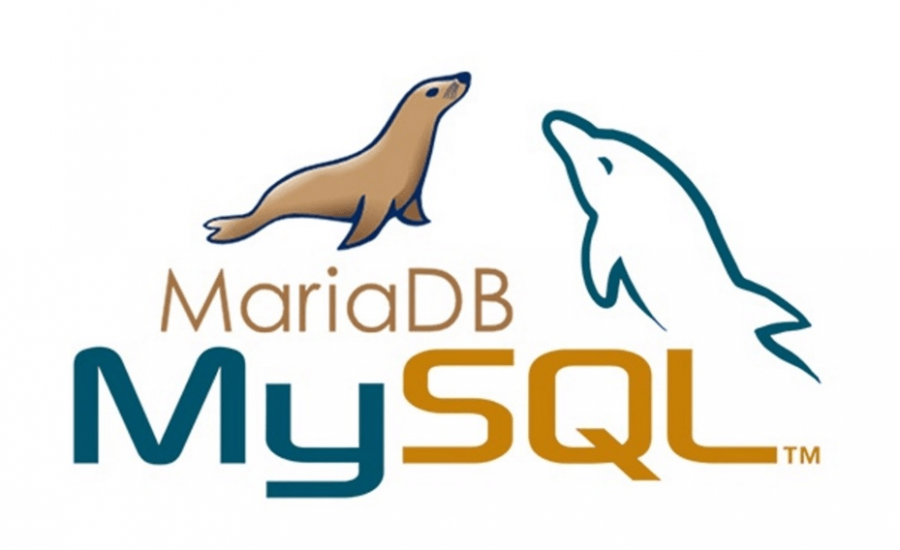 Reset the MariaDB Root Password